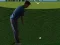 Mchezo Flash Golf 3D online