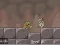 Mchezo Roly-Poly Eliminator 2 online