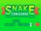 Mchezo Snake Challenge online