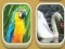 Mchezo Match Zoo online