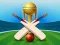 Mchezo Cricket Champions Cup online