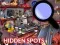 Mchezo Hidden Spots In The Room online