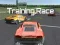 Mchezo Training Race online