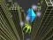 Mchezo Marble Rolling Stunt online