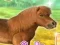 Mchezo My Dear Pony online