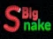 Mchezo Big Snake.io online