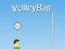 Mchezo VolleyBall online