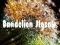 Mchezo Dandelion Jigsaw online