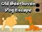 Mchezo Old Beethoven Dog Escape online