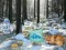 Mchezo Winter Wonderland Forest Adventure online