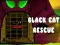 Mchezo Black Cat Rescue online