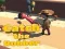Mchezo Catsh the robber online