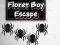 Mchezo Floret Boy Escape online