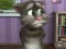 Mchezo Talking Tom Cat 2 online