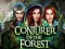Mchezo Conjurer Of The Forest online
