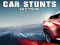 Mchezo Car Stunts Sky Tour online