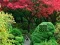 Mchezo Maple Leaf Garden Escape online