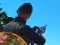 Mchezo Shadow Hunter online