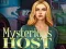 Mchezo Mysterious host online