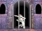 Mchezo Victory Rabbit Escape online