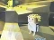 Mchezo Kogama: Adventure online