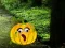 Mchezo Help The Hungry Monkey online