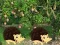 Mchezo Escape From Mango Farm online