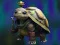 Mchezo Isolated Turtle Escape online
