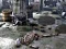 Mchezo Friends Rescue From Skeleton online
