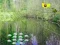 Mchezo Sunlight Forest Adventure online
