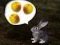 Mchezo The Foggy Forest online