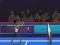 Mchezo Badminton Brawl online