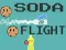Mchezo Soda Flight online