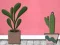 Mchezo Find Houseplant online