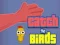 Mchezo Catch the Birds online
