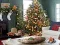 Mchezo Gingerbread Gala Hunt for 100 Sweet Delights online