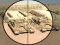 Mchezo Camo Sniper online