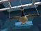Mchezo Goose Museum online