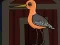 Mchezo Cute Godwit Escape online