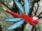 Mchezo Escape From Dragonfly Forest online