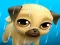 Mchezo My Virtual Pet Louie the Pug online