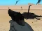 Mchezo Weapon online