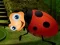 Mchezo Rescue The Couple Bug online