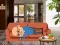 Mchezo Wakeup The Grandpa online