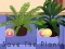 Mchezo Save the Plants online