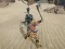 Mchezo The Scythian Warrior online