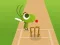 Mchezo Doodle Cricket online