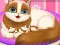 Mchezo Cute Kitty Pregnant online