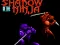 Mchezo Shadow of the Ninja online