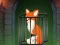 Mchezo Fox in the Forgotten Ruins online